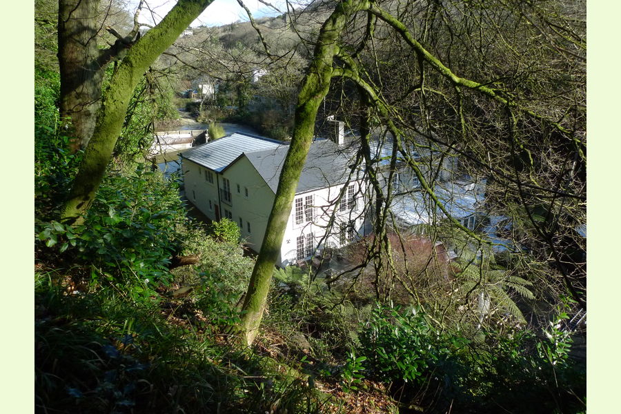 Trethowel Woodland, at Trethowel, St Austell, Trethowel by St. Austell