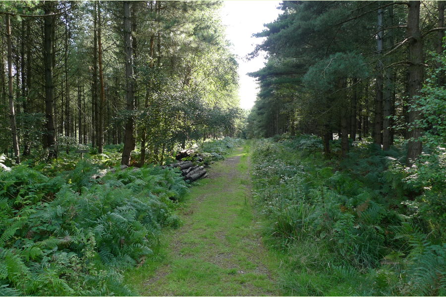 Whistling Woods Careers at Mirella Barraza blog