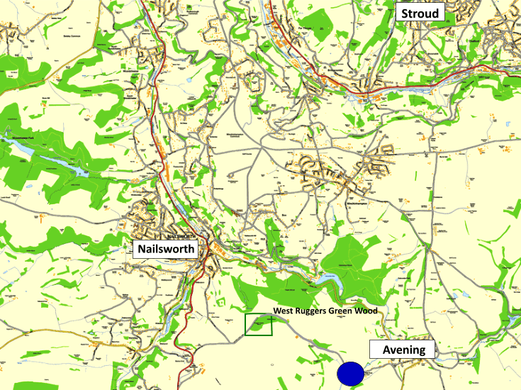 West Ruggers Green Wood, Nailsworth, Gloucestershire Central England