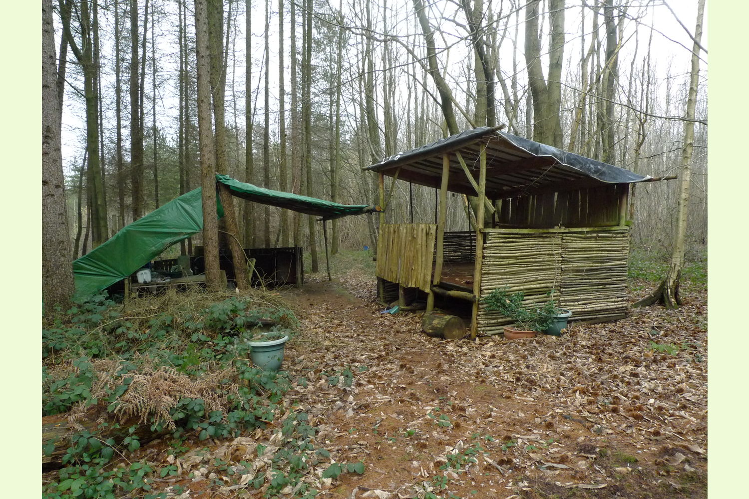 Easter Wood, At Longbeech, Charing in Kent