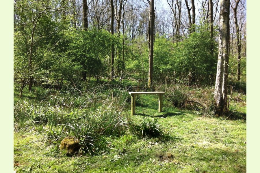 Clinker Wood, Alvechurch, Redditch, Worcestershire Central England Forests.co.uk