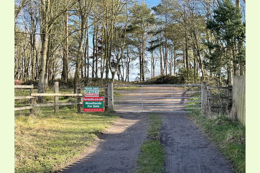 Clinker Wood, Alvechurch, Redditch, Worcestershire Central England Forests.co.uk