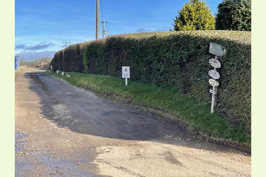 Clinker Wood, Alvechurch, Redditch, Worcestershire Central England Forests.co.uk
