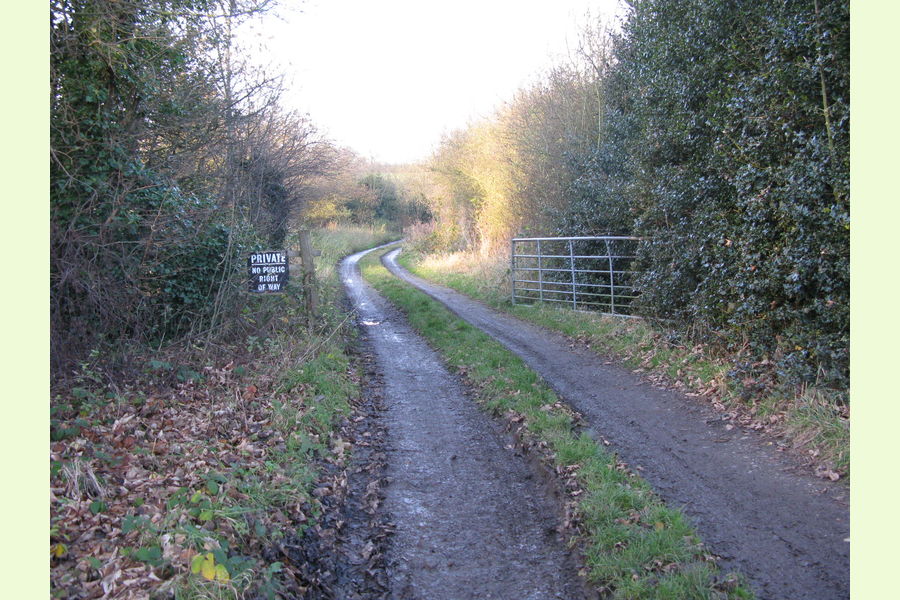 Woodland at Dale Abbey, Dale Abbey, between Derby and Ilkeston
