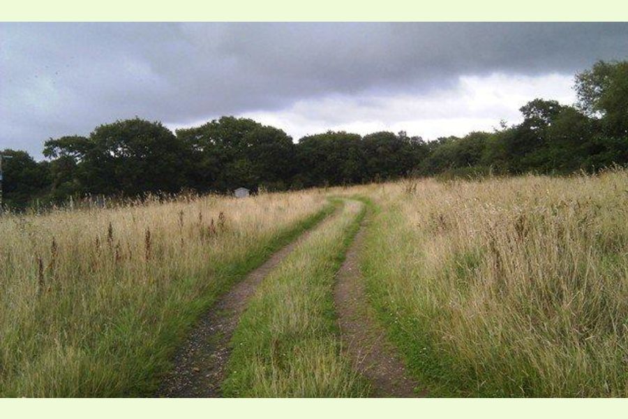 Folley Meadow and Wood, Near Clawton, Holsworthy, Devon South West