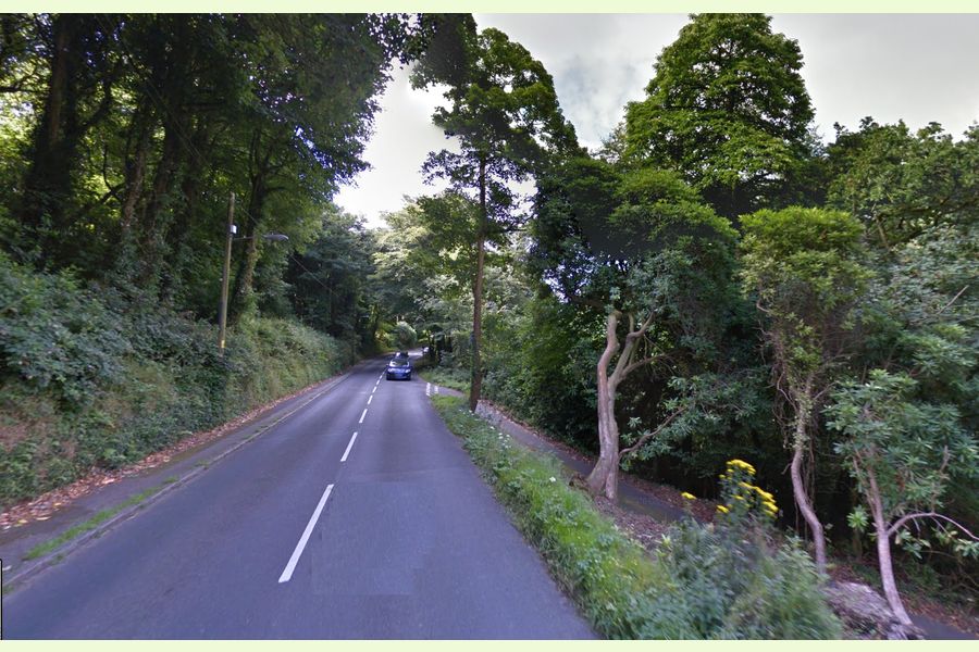 Trethowel Woodland, at Trethowel, St Austell, Trethowel by St. Austell