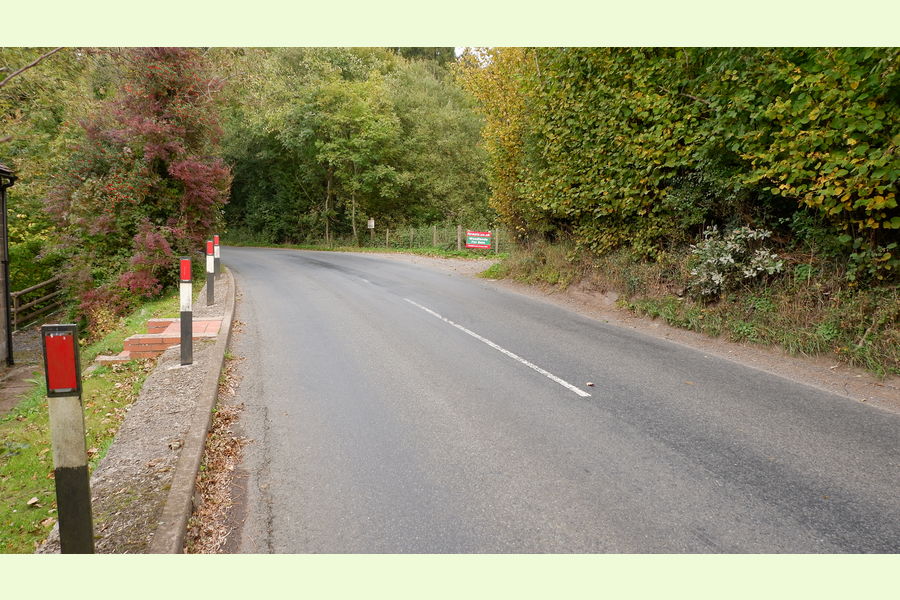 Woolston Wood, Shropshire, Horderley, Craven Arms, Shropshire Wales