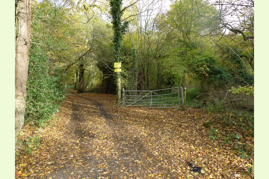 Glovers Wood part, Glovers Wood, Charlwood Lane, Charlwood, West