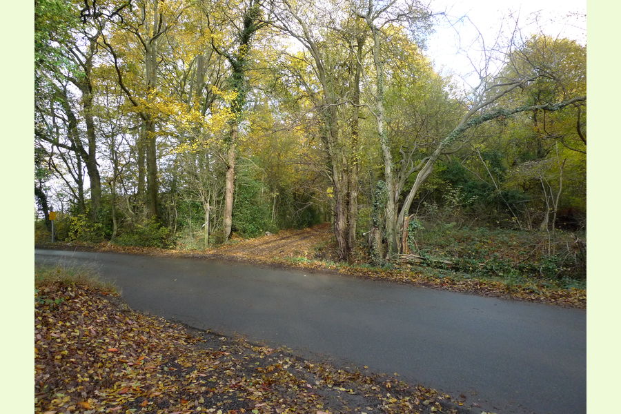 Glovers Wood part, Glovers Wood, Charlwood Lane, Charlwood, West