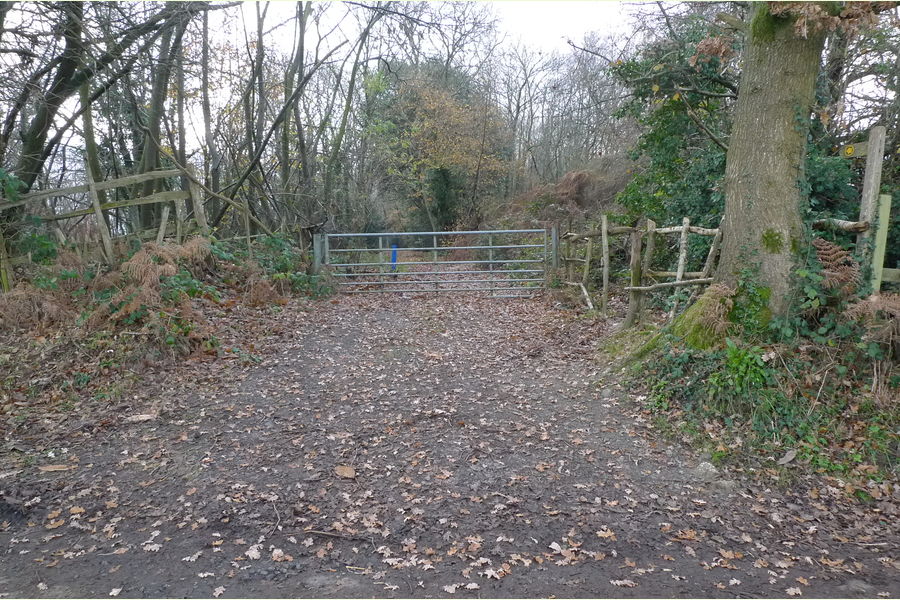 Wartling Wood, Hailsham, East Sussex, Wartling South East England