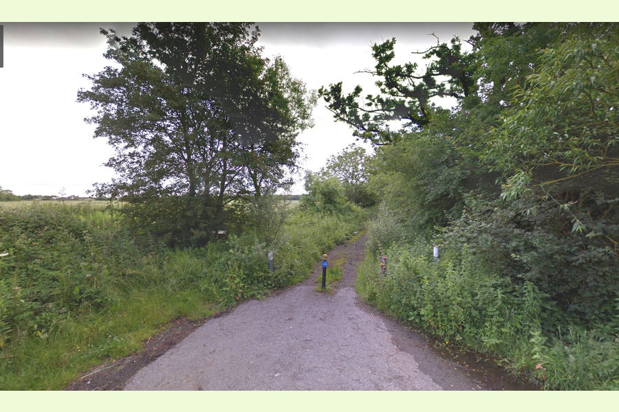 St Andrews Wood, Broad Blunsdon, Wiltshire Central England Forests