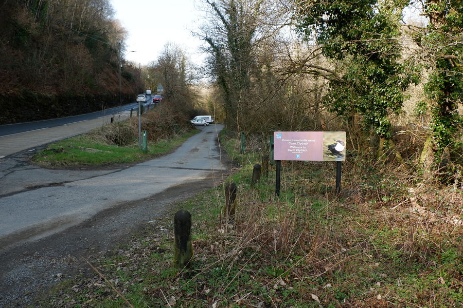 Cwm Clydach woodland, RhydyGwin, CraigCefnParc, Swansea Wales and