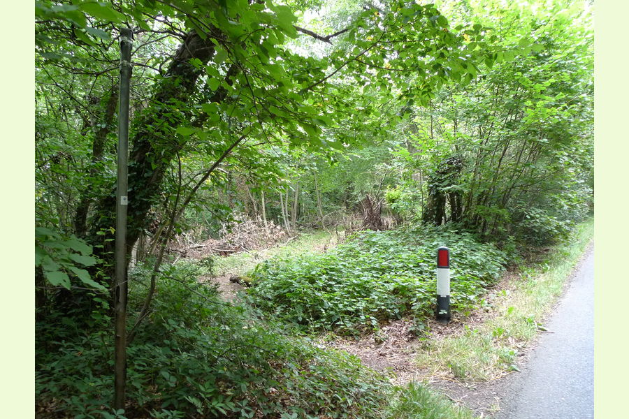 Folly Wood, Dursley , Whiteway, Dursely, Glos Central England