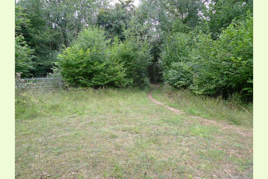 Folly Wood, Dursley , Whiteway, Dursely, Glos Central England
