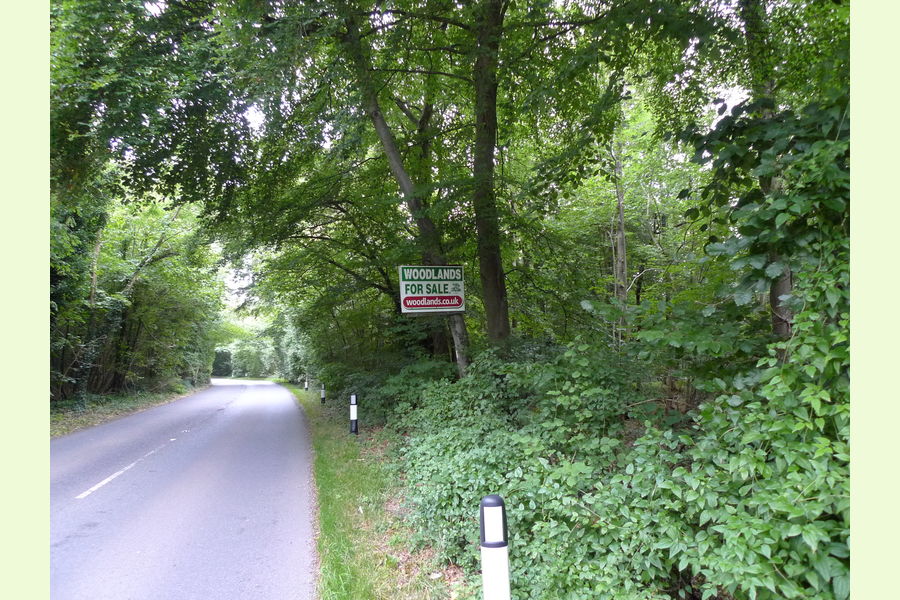Folly Wood, Dursley , Whiteway, Dursely, Glos Central England