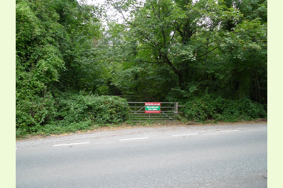 Folly Wood, Dursley , Whiteway, Dursely, Glos Central England