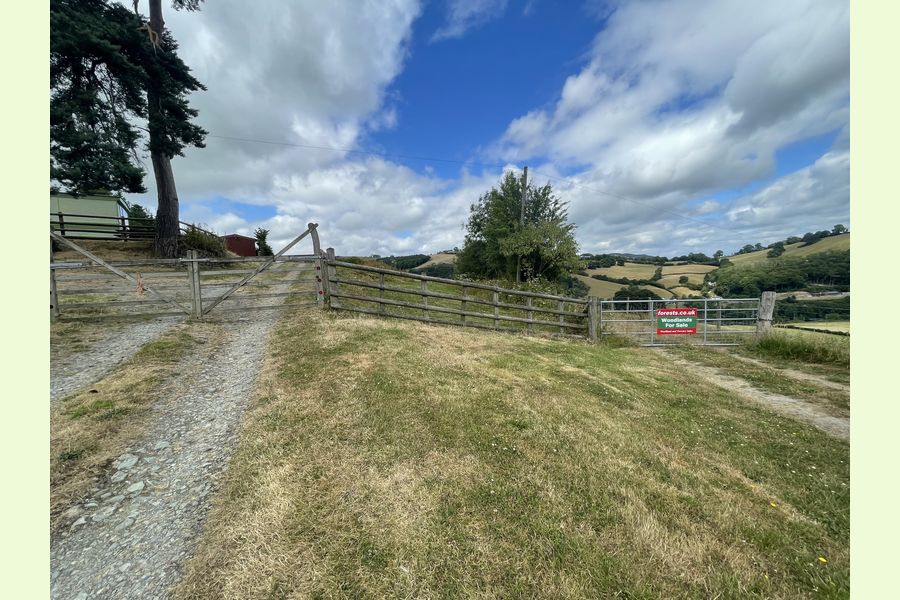 Coed Dinnant, Powys, Berriew, Welshpool, Powys Wales and the Welsh