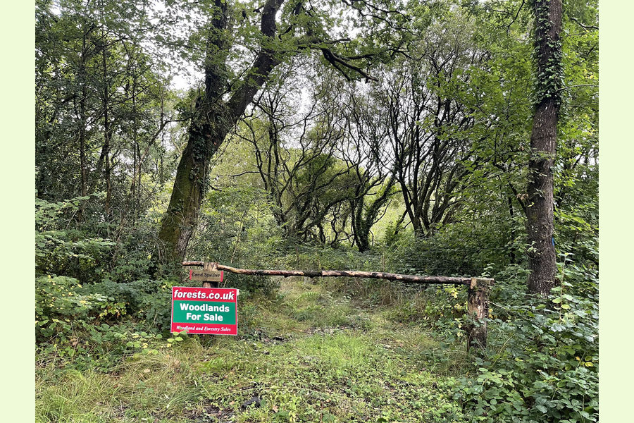 Coed Spwdwr, Carmarthenshire, Trimsaran, Kidwelly, Carmarthenshire