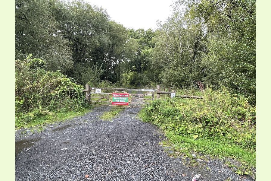 Coed Spwdwr, Carmarthenshire, Trimsaran, Kidwelly, Carmarthenshire