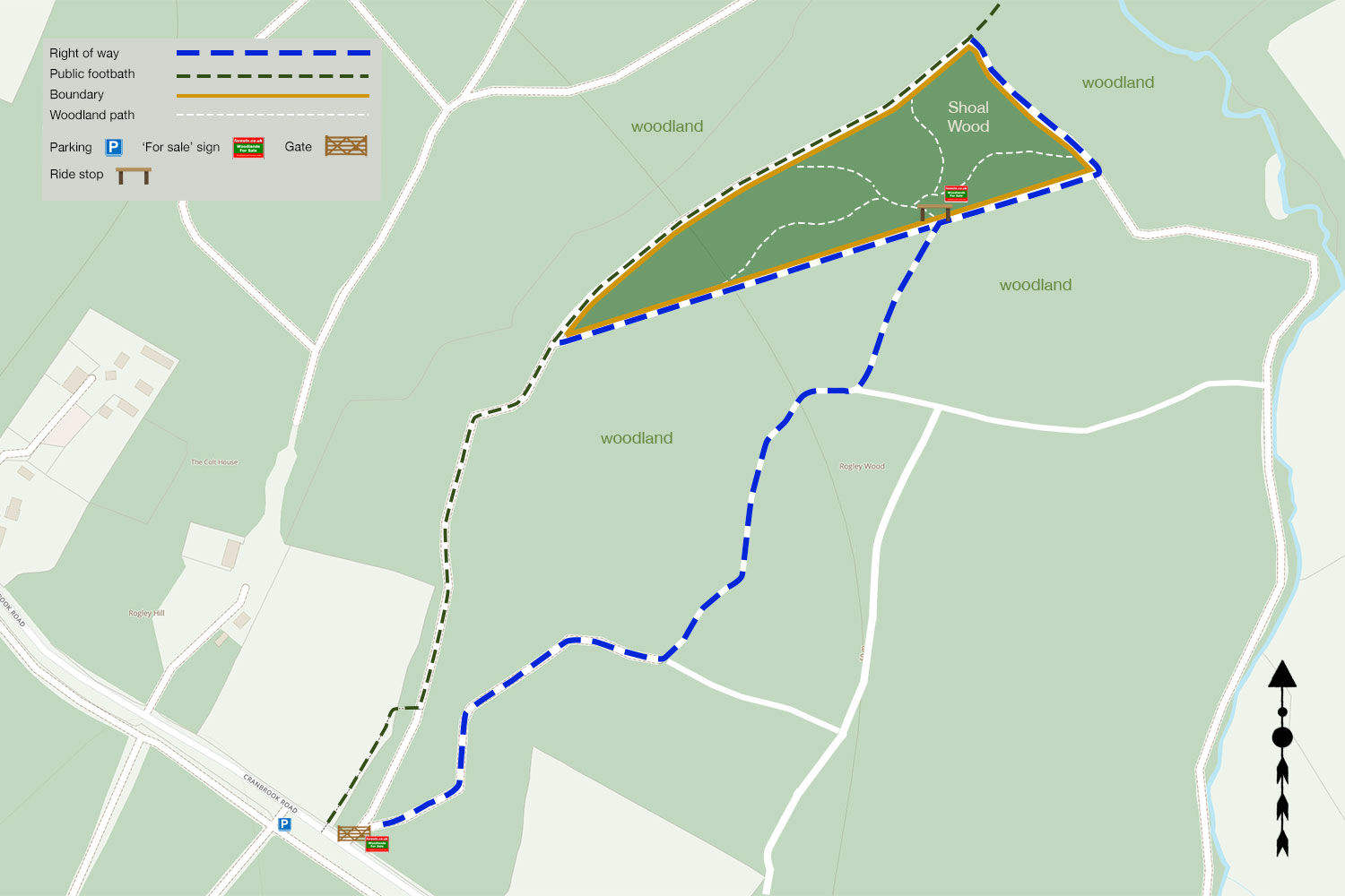 Shoal Wood Kent, Biddenden, Kent South East England Forests.co.uk