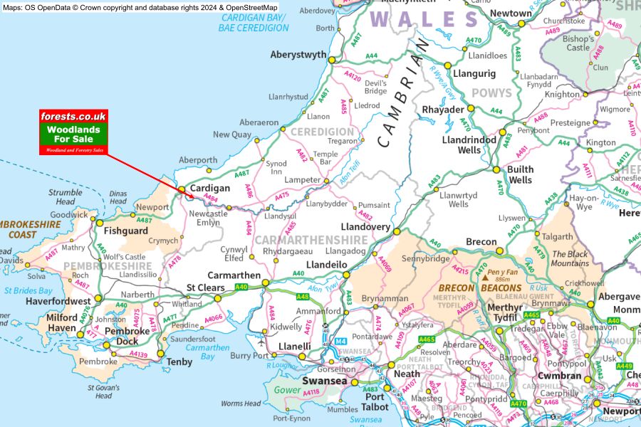 Coed Yr Afon Isaf, Abercych, Pembrokeshire | Wales and the Welsh ...