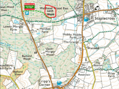 Larch Wood, Staplecross, East Sussex | South East England | Forests.co.uk