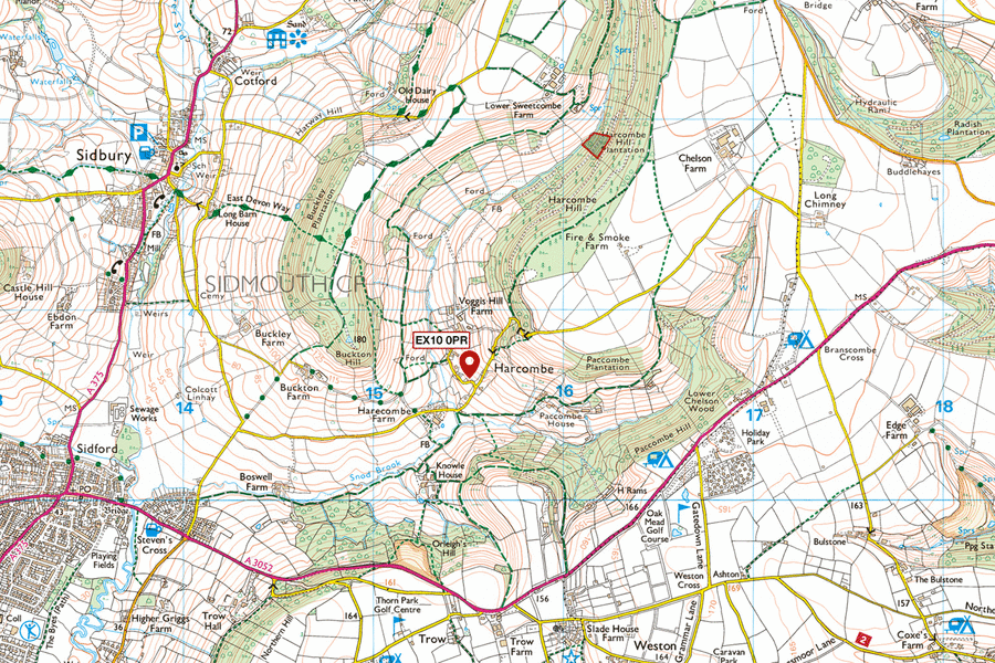 Blackbury Wood, Sidmouth, Devon South West England